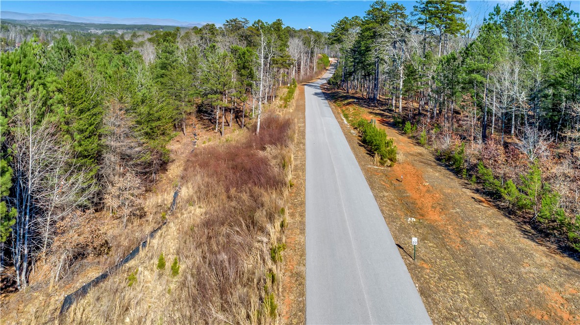 Lot 106 Harbor Ridge Road Seneca, SC 29672 - Photo 4 of 22 Gallery Image 4
