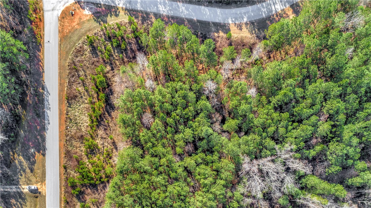Lot 106 Harbor Ridge Road Seneca, SC 29672 - Photo 6 of 22 Mixed Trees