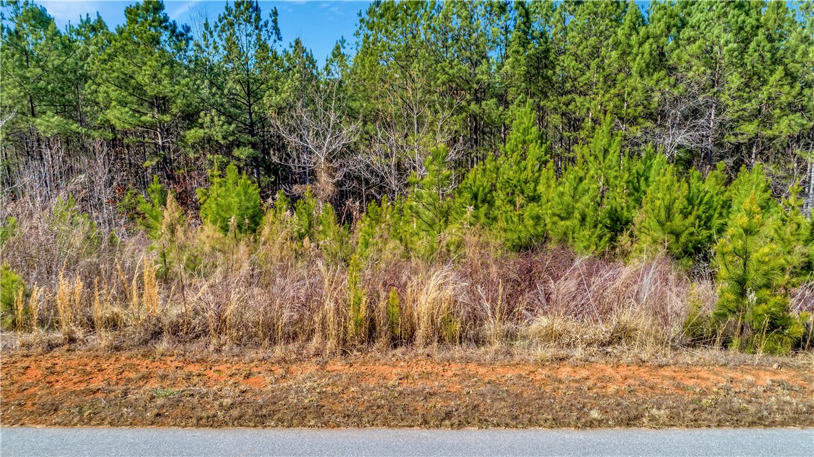 Lot 106 Harbor Ridge Road Seneca, SC 29672 - Photo 7 of 22 Street View
