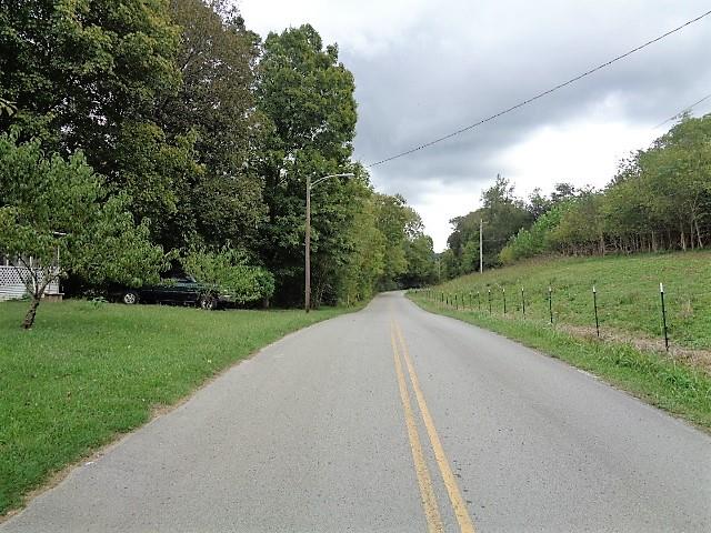 109 Cascade Hollow Road Normandy, TN 37360 - Photo 5 of 12 a view of a road with a yard and large trees