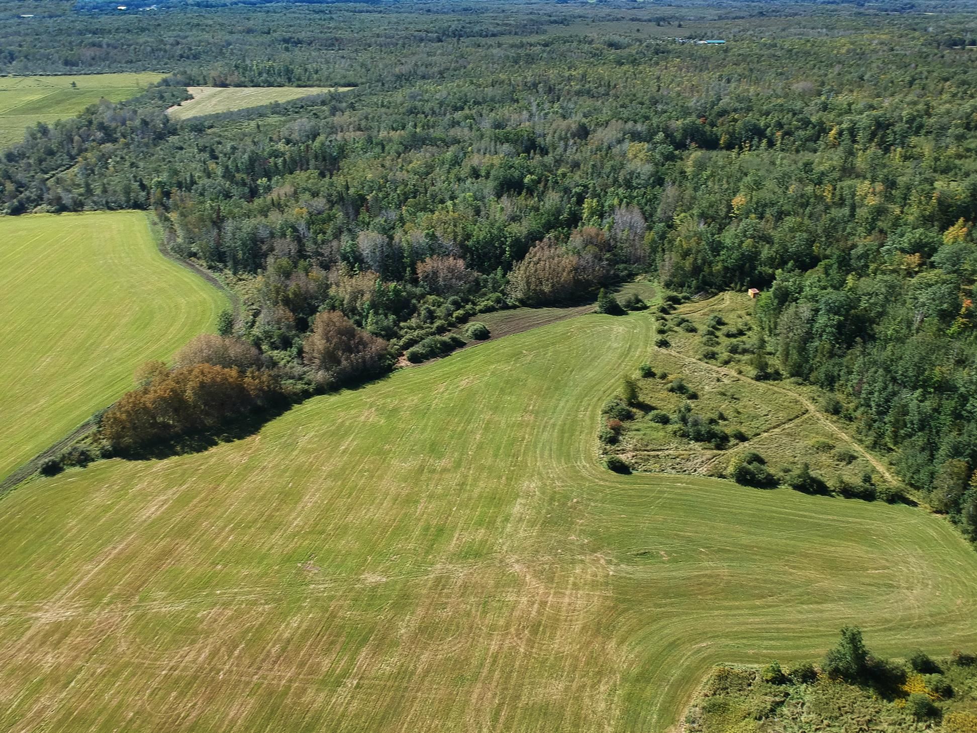4048 Little Road Barnum, MN 55707 - Photo 11 of 30 View of property location with a heavily wooded area