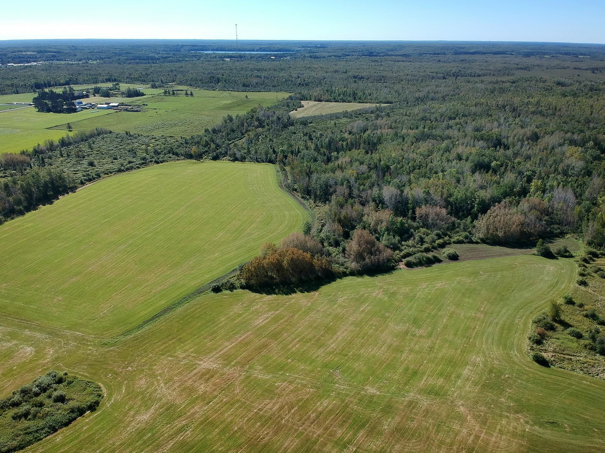 4048 Little Road Barnum, MN 55707 - Photo 13 of 30 Drone / aerial view of a heavily wooded area