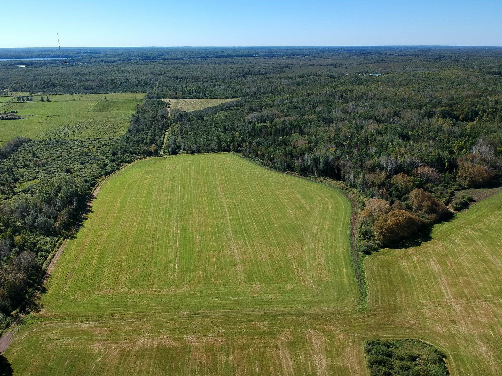 4048 Little Road Barnum, MN 55707 - Photo 14 of 30 View of property location with a heavily wooded area