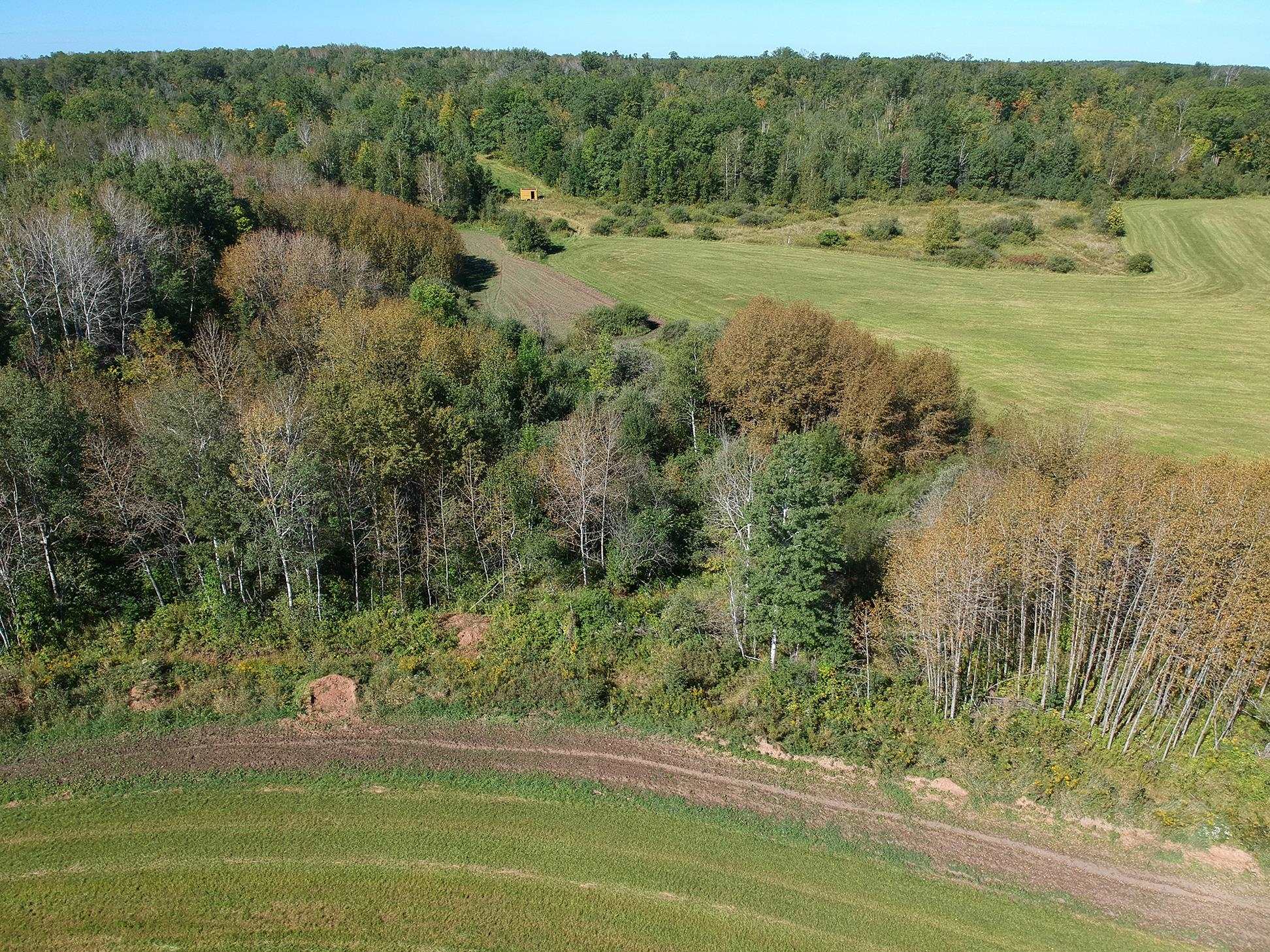 4048 Little Road Barnum, MN 55707 - Photo 17 of 30 Bird's eye view of a forest