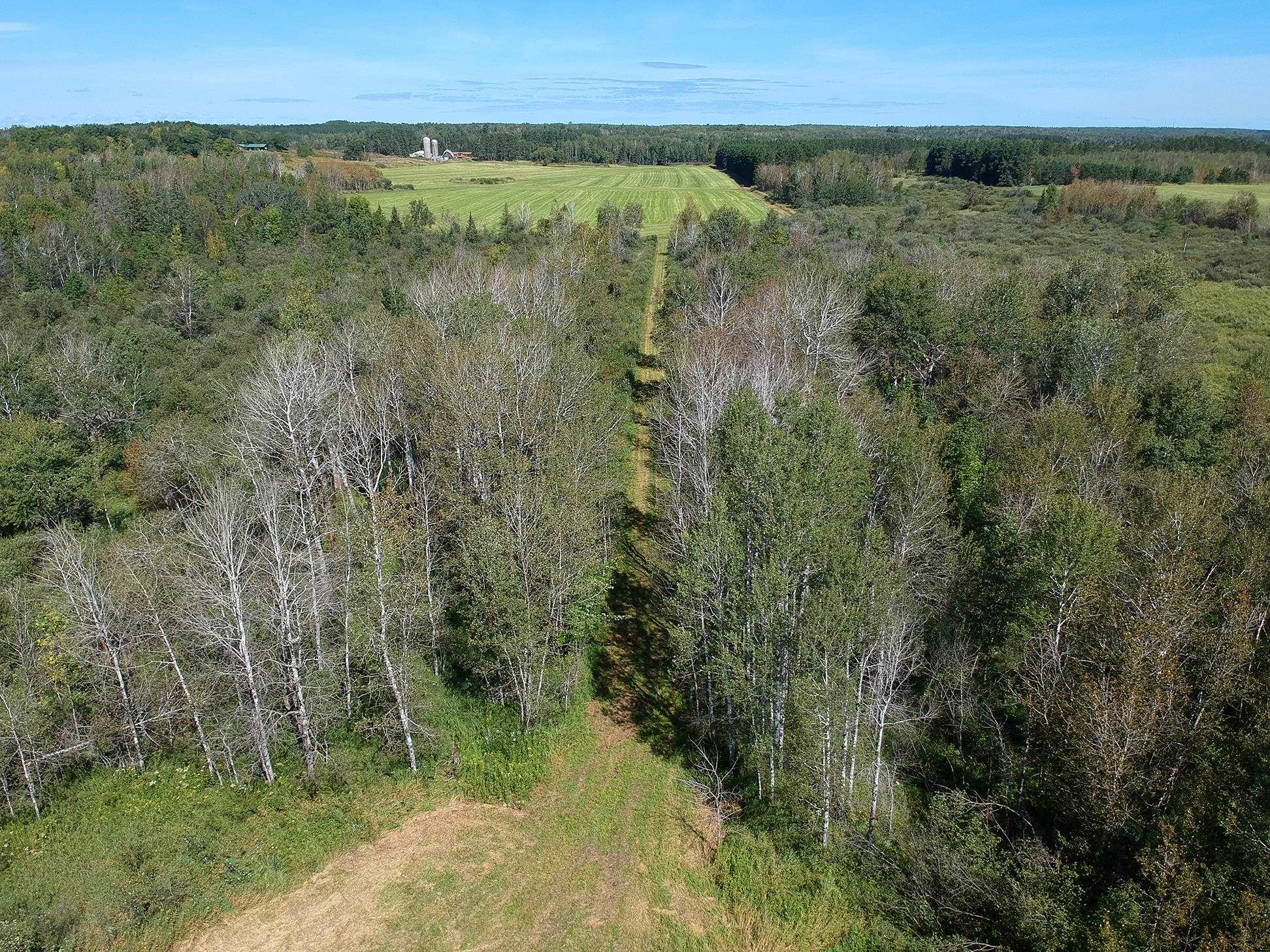 4048 Little Road Barnum, MN 55707 - Photo 19 of 30 Aerial view of a forest