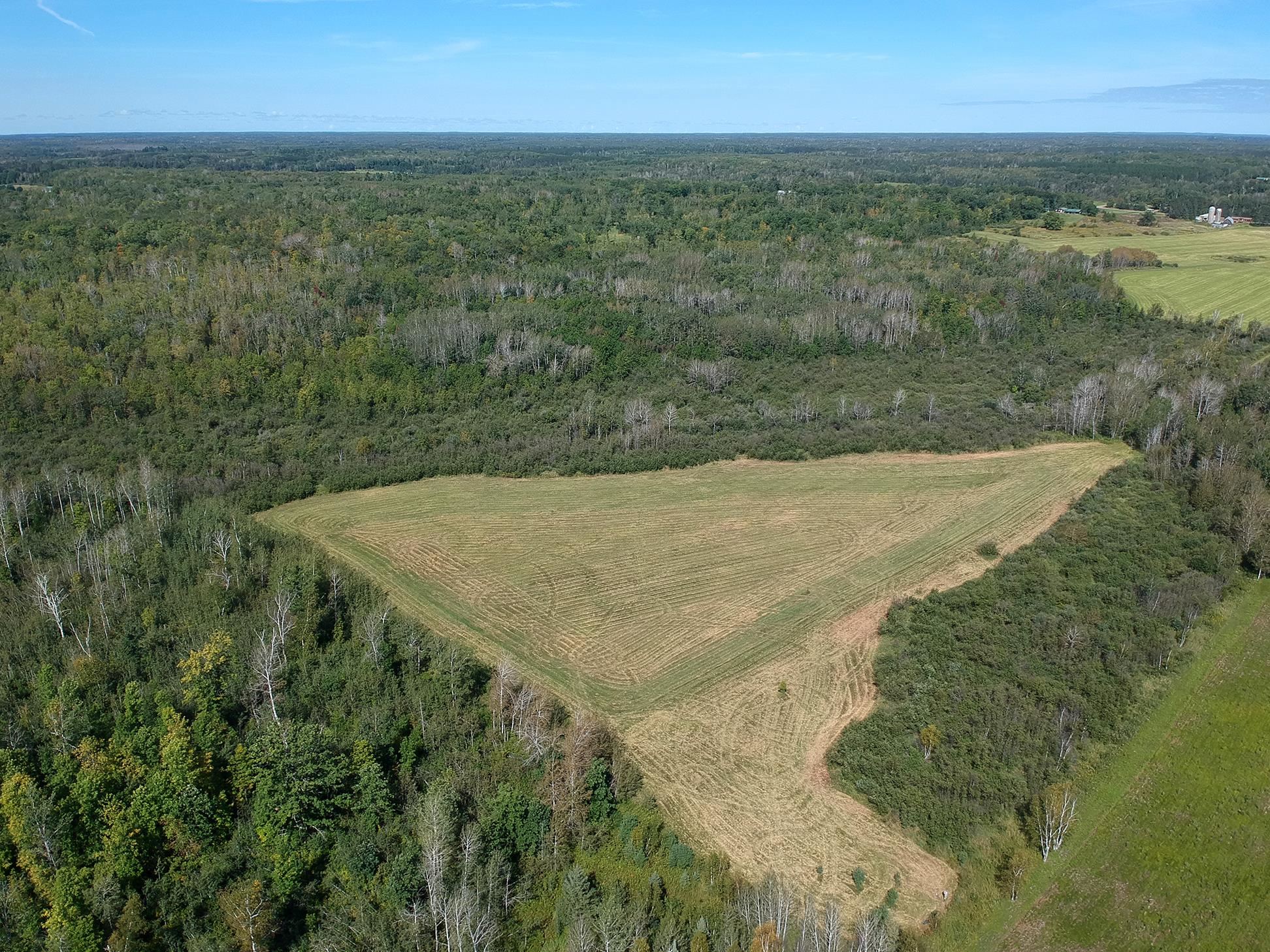 4048 Little Road Barnum, MN 55707 - Photo 20 of 30 Aerial view of property's location with a forest