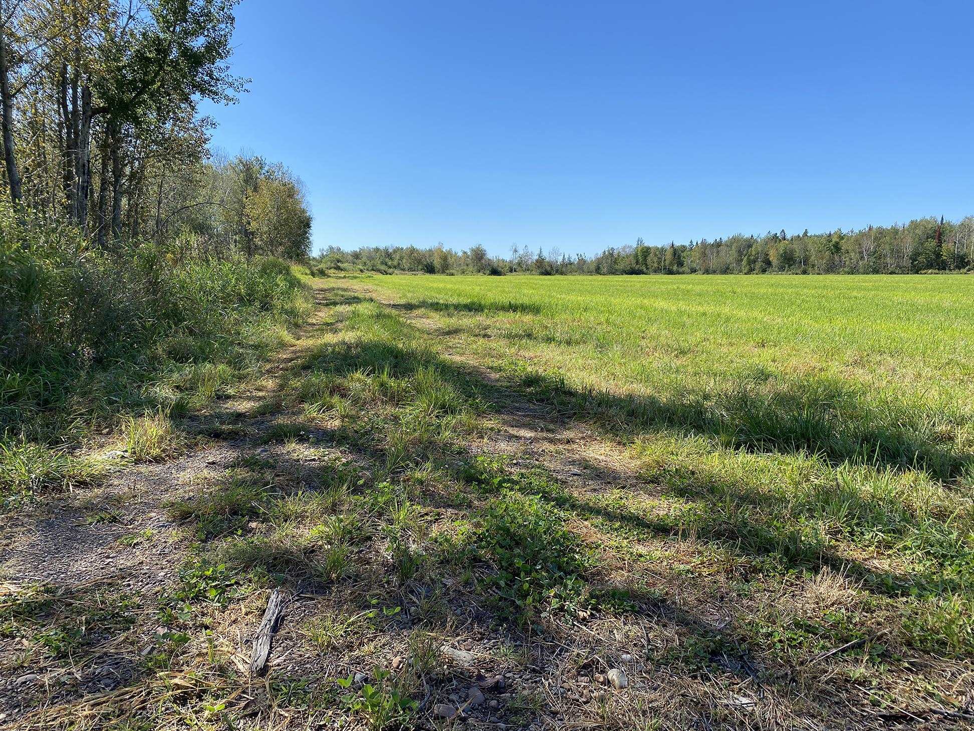 4048 Little Road Barnum, MN 55707 - Photo 22 of 30 View of undeveloped land featuring rural landscape