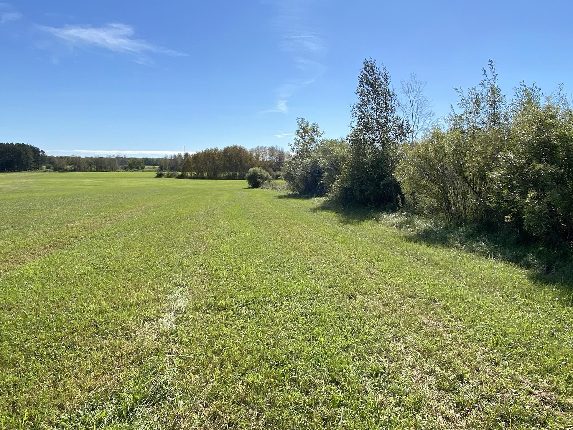 4048 Little Road Barnum, MN 55707 - Photo 23 of 30 View of green lawn with a view of countryside