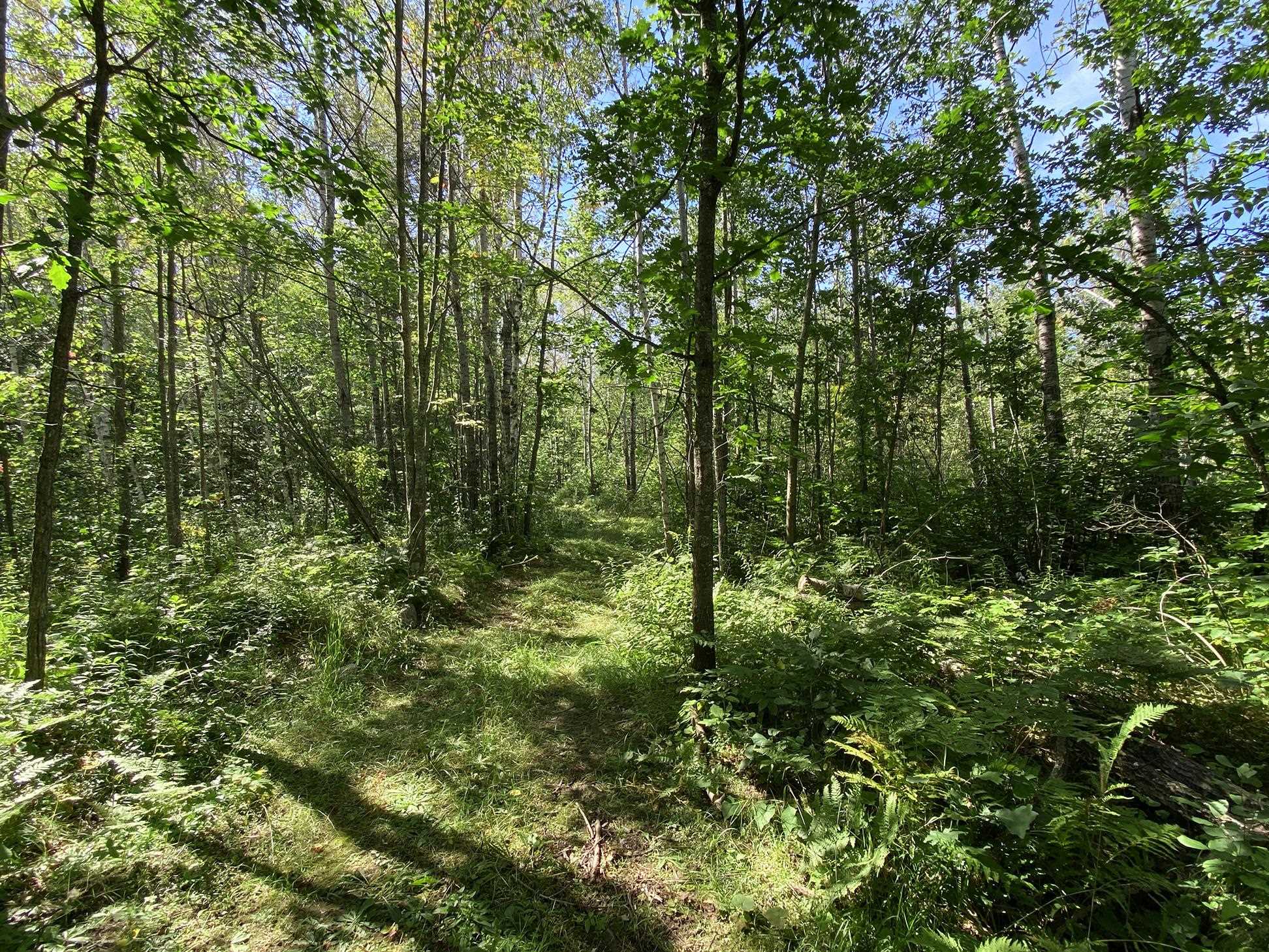 4048 Little Road Barnum, MN 55707 - Photo 25 of 30 View of woods