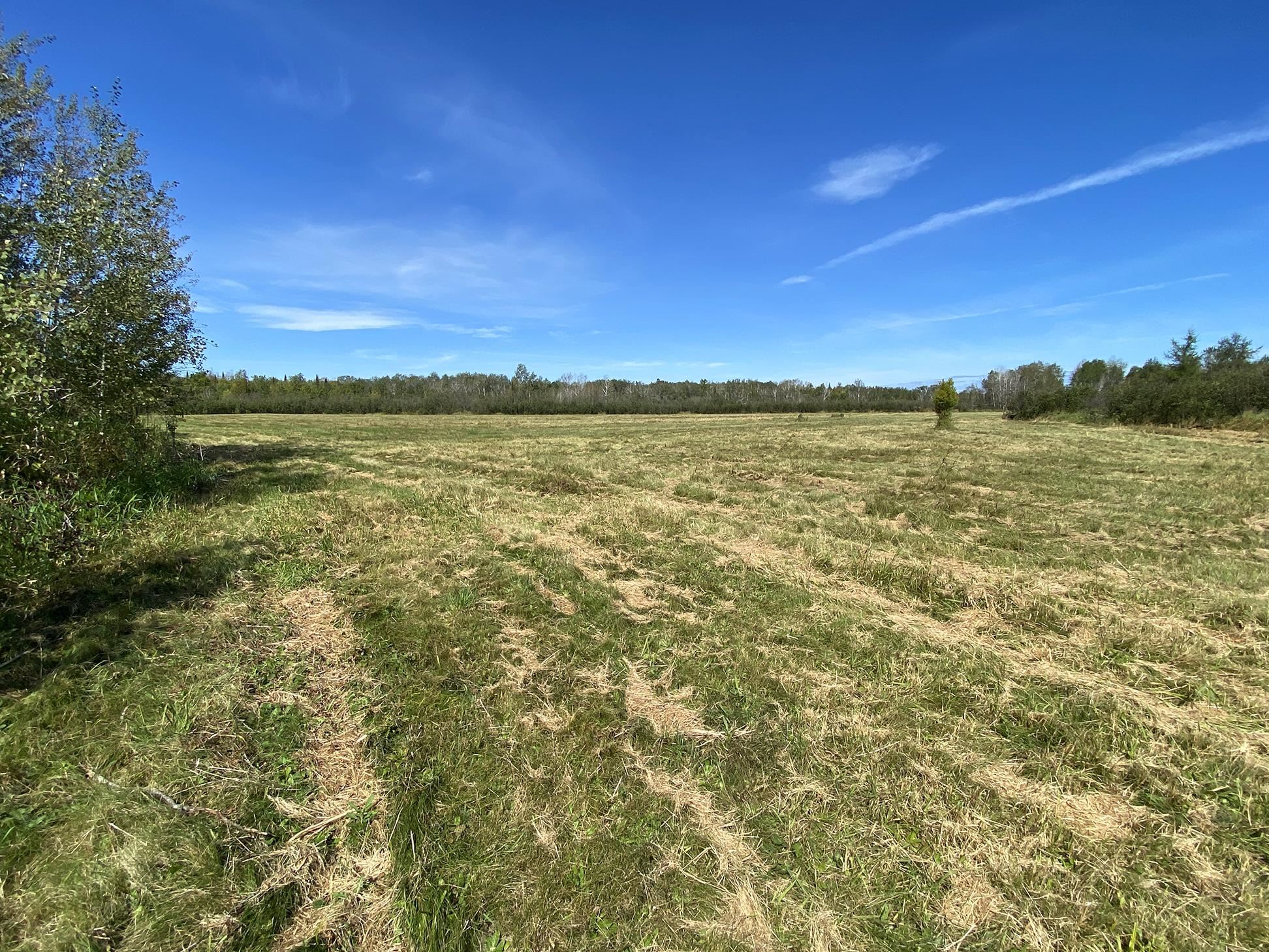 4048 Little Road Barnum, MN 55707 - Photo 28 of 30 View of undeveloped land featuring rural landscape