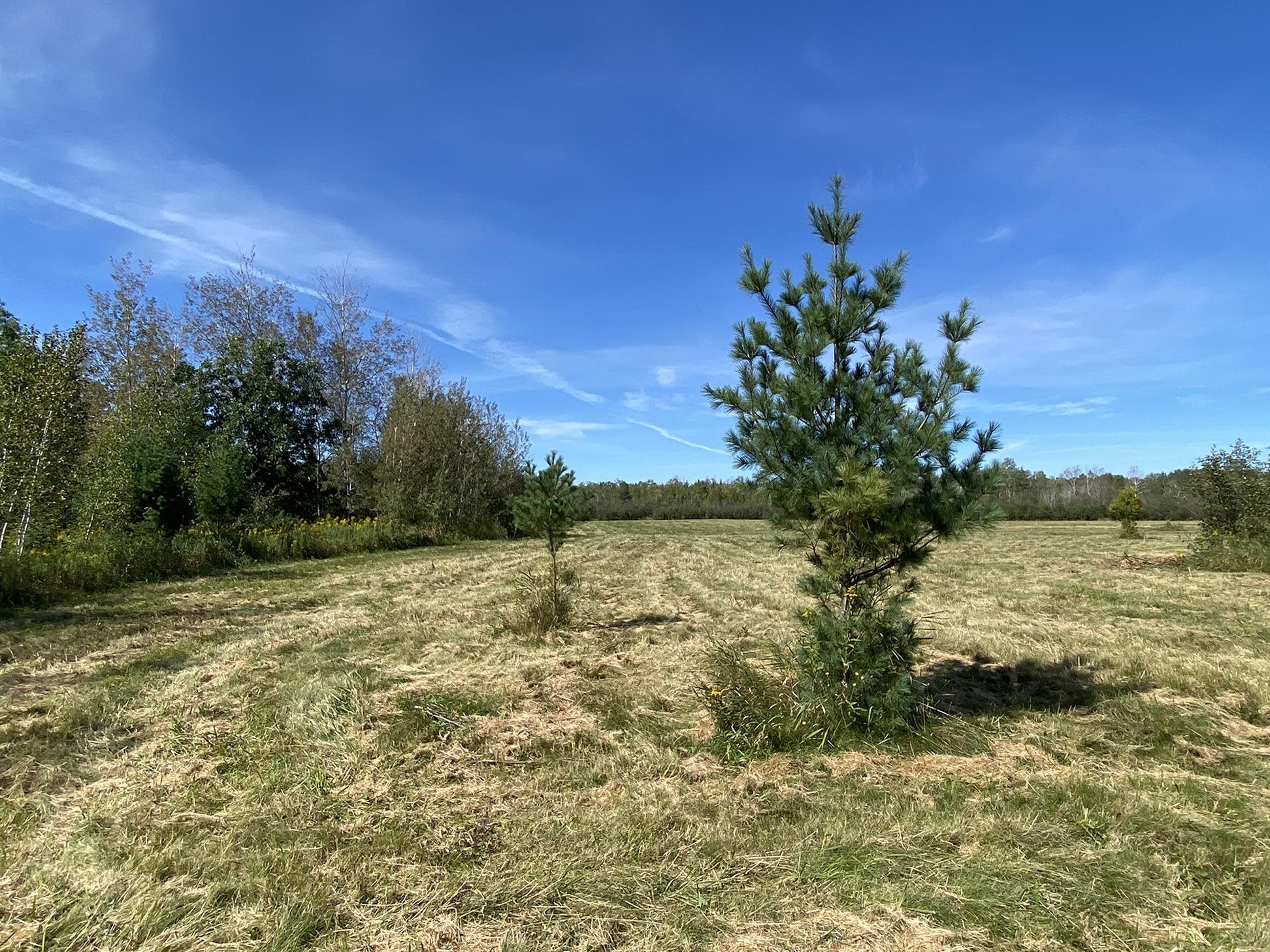 4048 Little Road Barnum, MN 55707 - Photo 29 of 30 View of local wilderness featuring rural landscape
