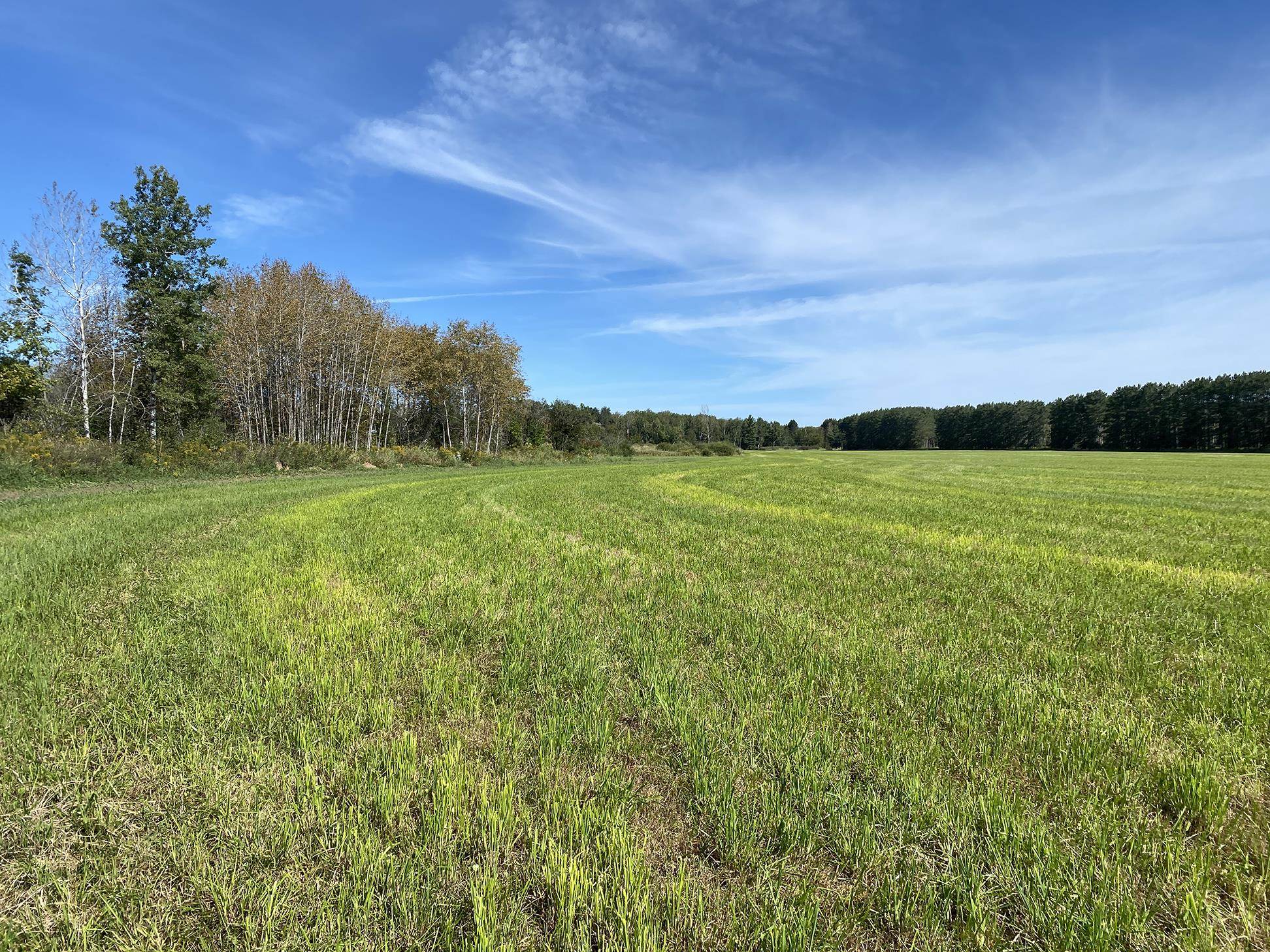 4048 Little Road Barnum, MN 55707 - Photo 30 of 30 View of nature featuring rural landscape