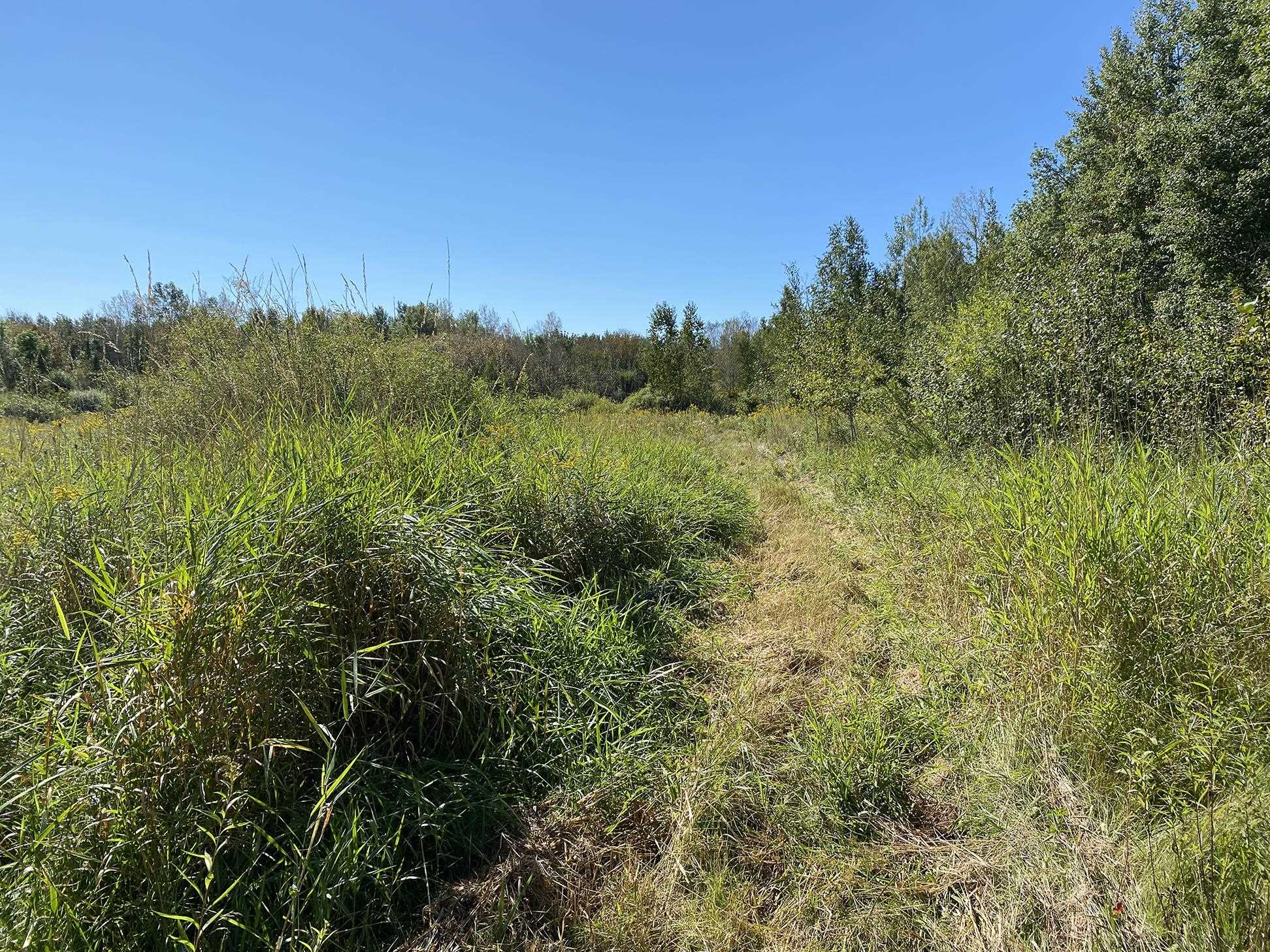 4048 Little Road Barnum, MN 55707 - Photo 8 of 30 View of undeveloped land