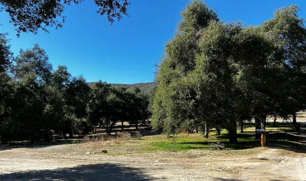 a view of a yard with a slide