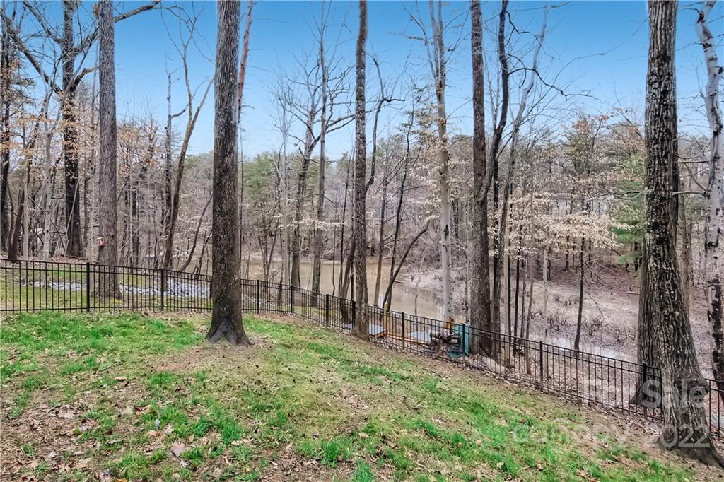 7653 Juniper Lane Denver, NC 28037 - Photo 27 of 28 a view of backyard with tree