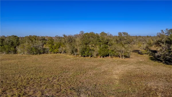 a view of dirt field with trees in the background