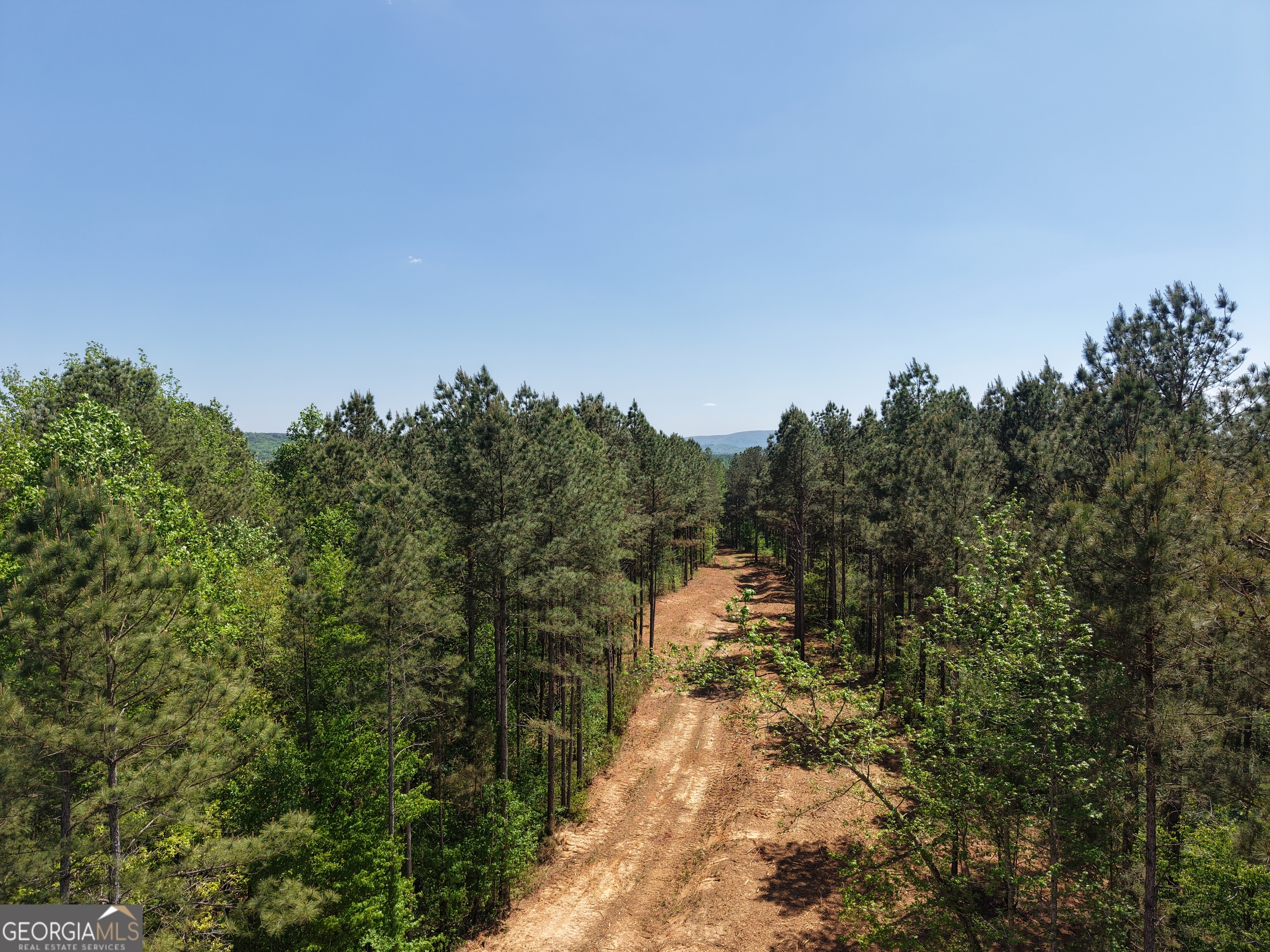 0 Ryo Mountain Road, Unit 9609 Fairmount, GA 30139 - Photo 21 of 87 Gallery Image 21