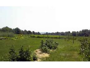 595 East Deering Road Deering, NH 03244 - Photo 4 of 5