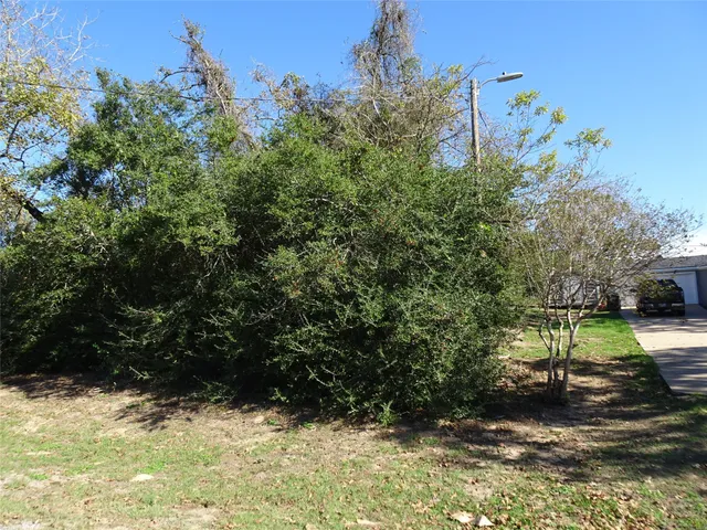 a view of a backyard of the house