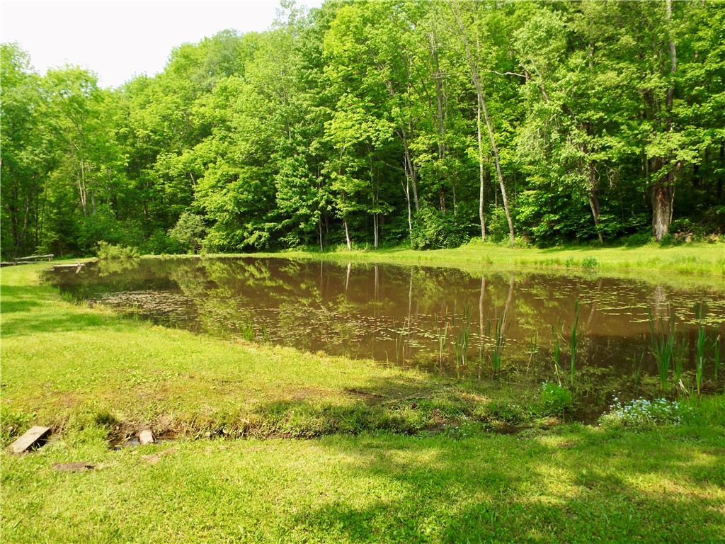 173 Bristol Road Otsego, NY 13348 - Photo 17 of 41