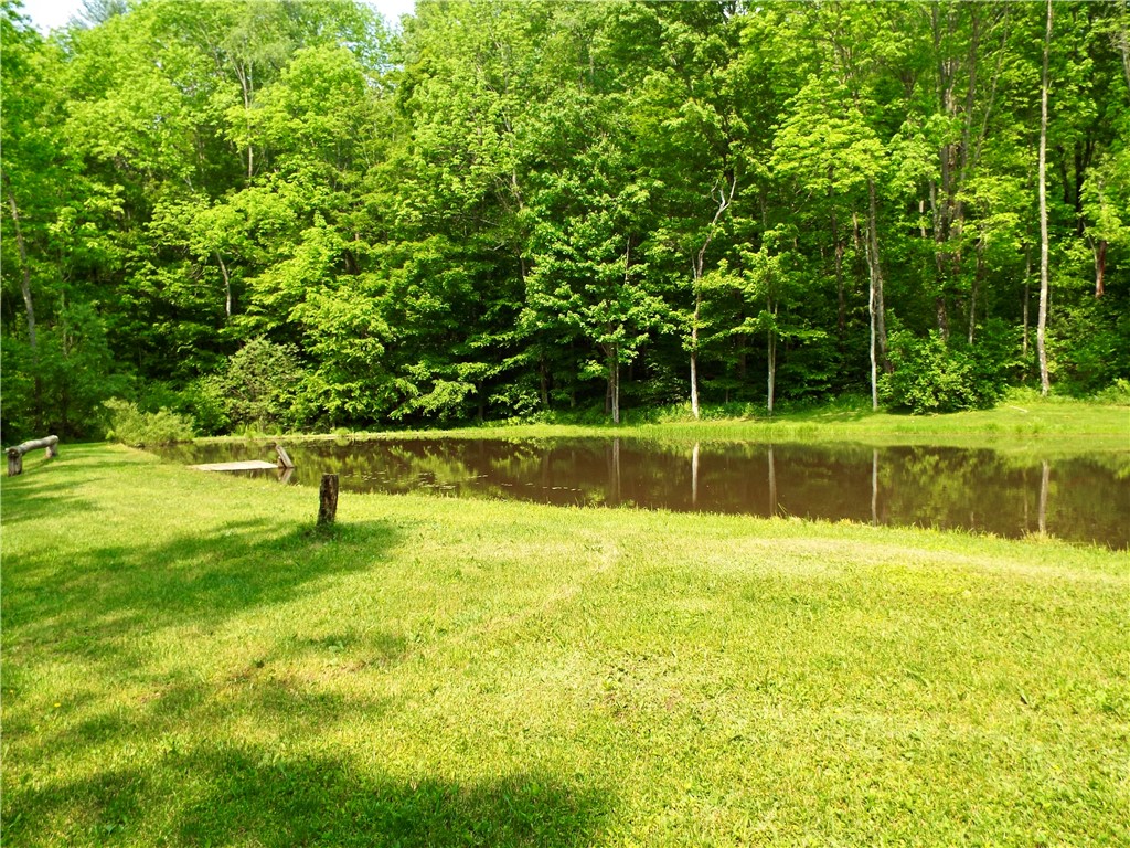 173 Bristol Road Otsego, NY 13348 - Photo 18 of 41