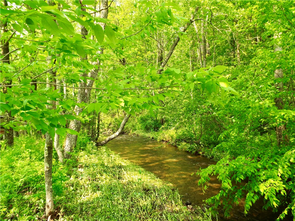 173 Bristol Road Otsego, NY 13348 - Photo 23 of 41