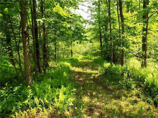 $224,900 | 173 Bristol Road, Otsego, NY 13348