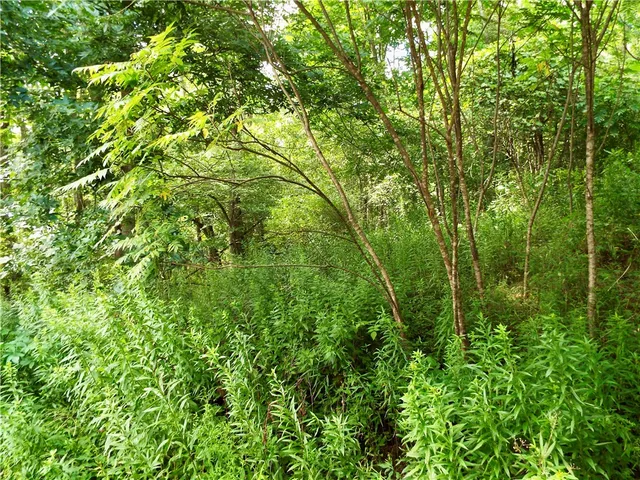 $224,900 | 173 Bristol Road, Otsego, NY 13348