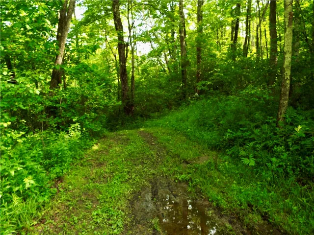 $224,900 | 173 Bristol Road, Otsego, NY 13348