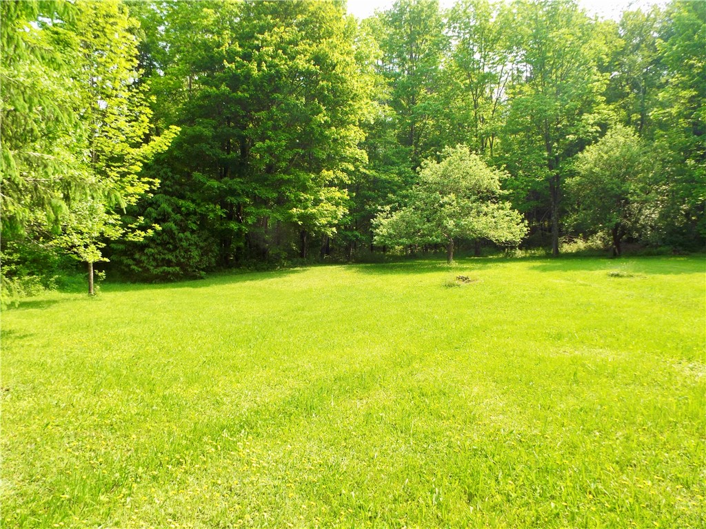 173 Bristol Road Otsego, NY 13348 - Photo 31 of 41