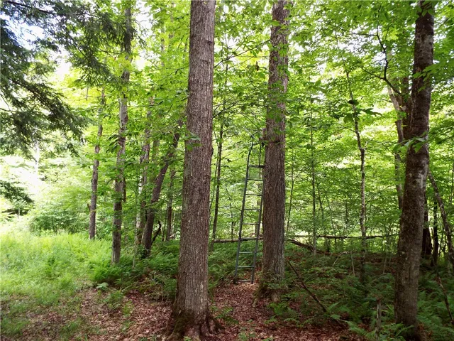 $224,900 | 173 Bristol Road, Otsego, NY 13348