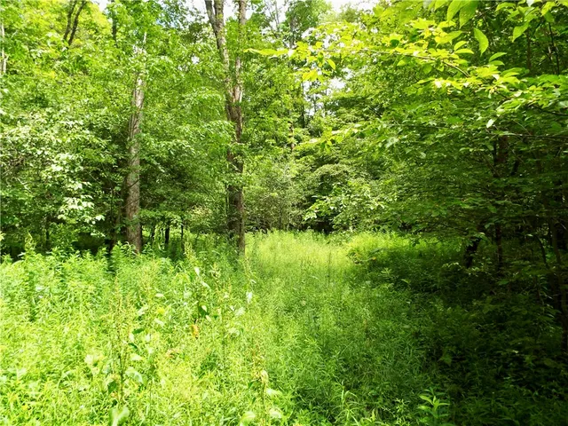 $224,900 | 173 Bristol Road, Otsego, NY 13348