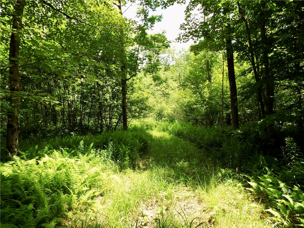 173 Bristol Road Otsego, NY 13348 - Photo 36 of 41