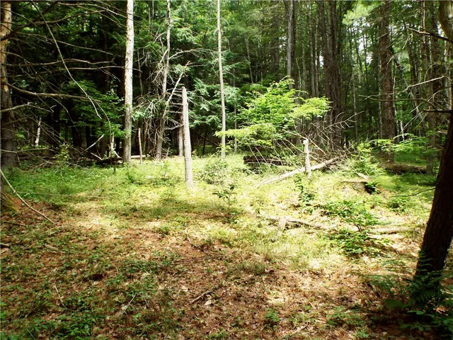 $224,900 | 173 Bristol Road, Otsego, NY 13348