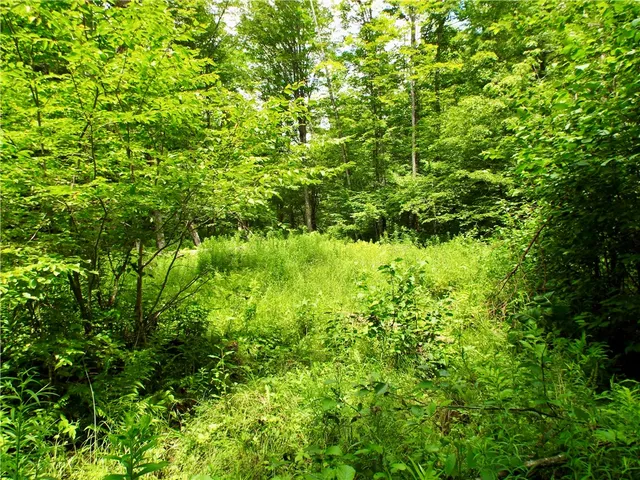 $224,900 | 173 Bristol Road, Otsego, NY 13348