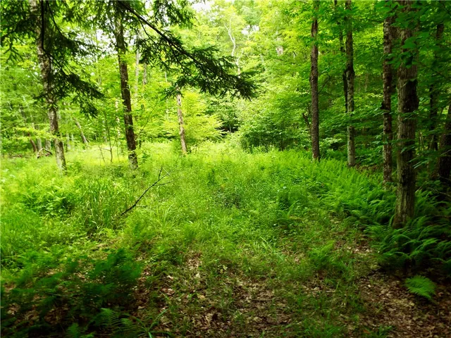 $224,900 | 173 Bristol Road, Otsego, NY 13348