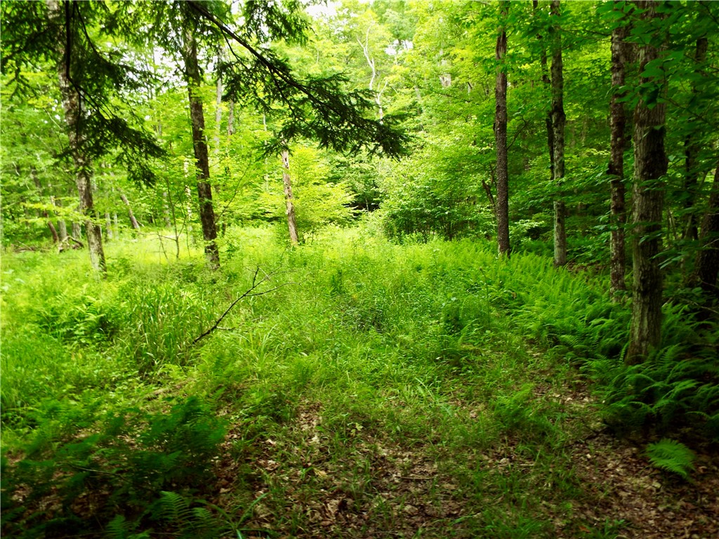 173 Bristol Road Otsego, NY 13348 - Photo 39 of 41