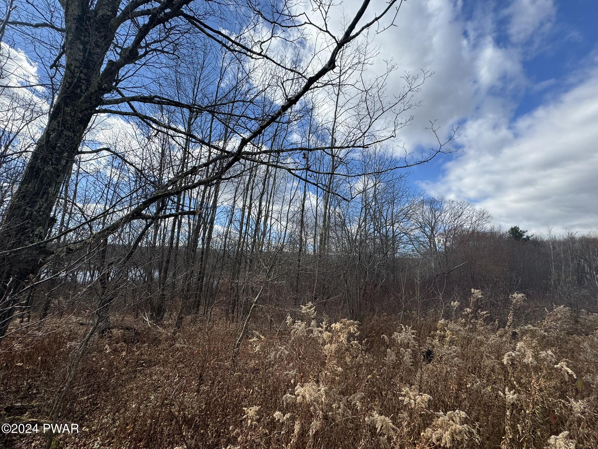 402 Jubinsky Road Waymart, PA 18472 - Photo 18 of 30 9.5 Acres Fields/Wooded