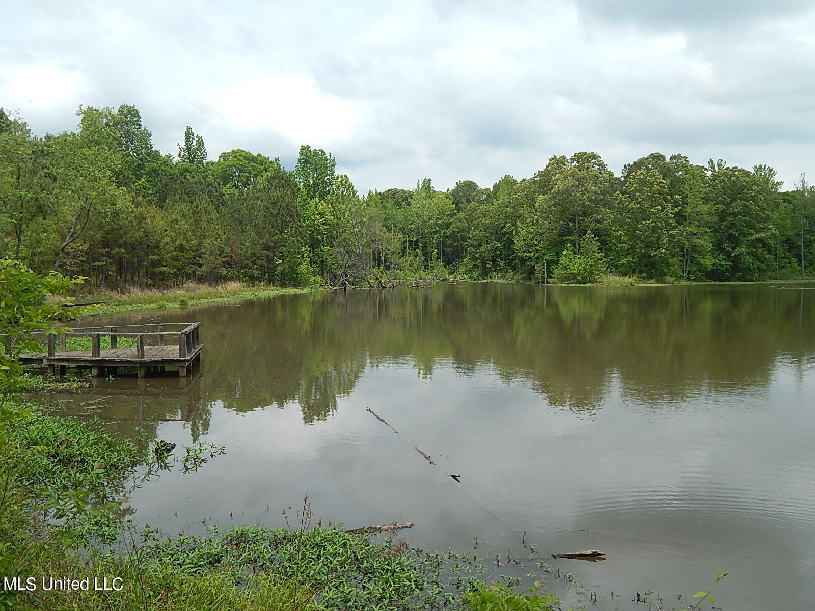 1350 Cascilla Road Holcomb, MS 38940 - Photo 36 of 52 DSCN2949