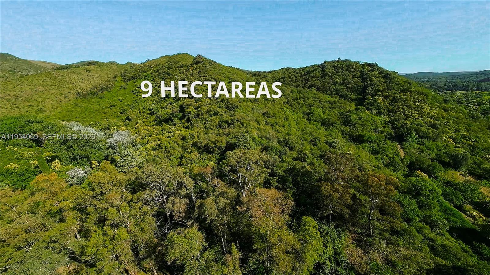 1 Segundo Paredon undefined, undefined 5186 - Photo 1 of 57