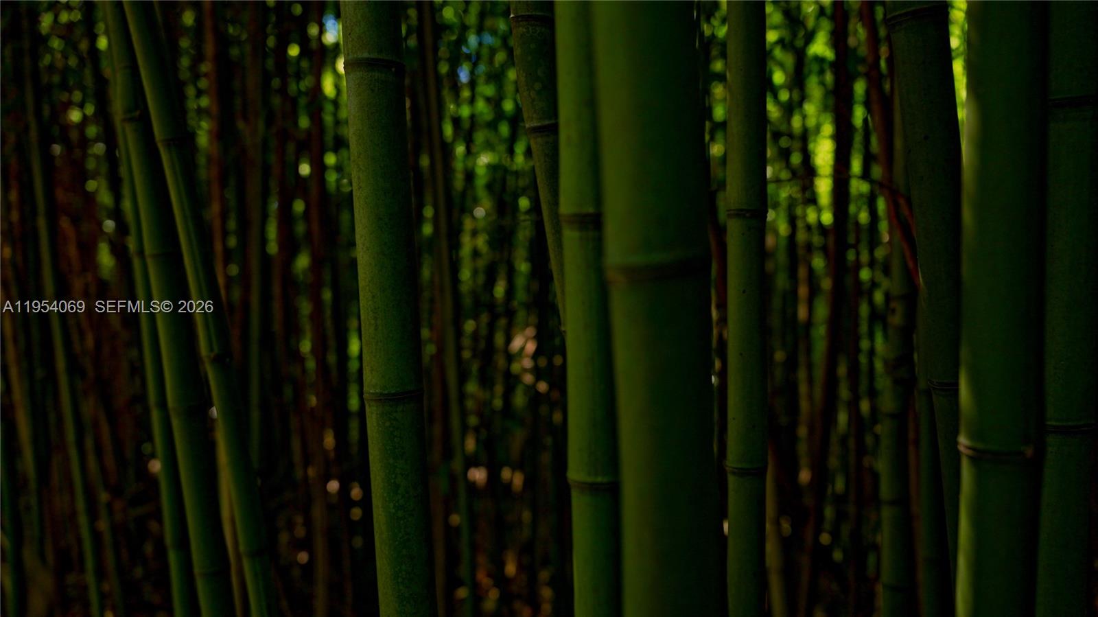 1 Segundo Paredon undefined, undefined 5186 - Photo 16 of 57 a close view of a backyard