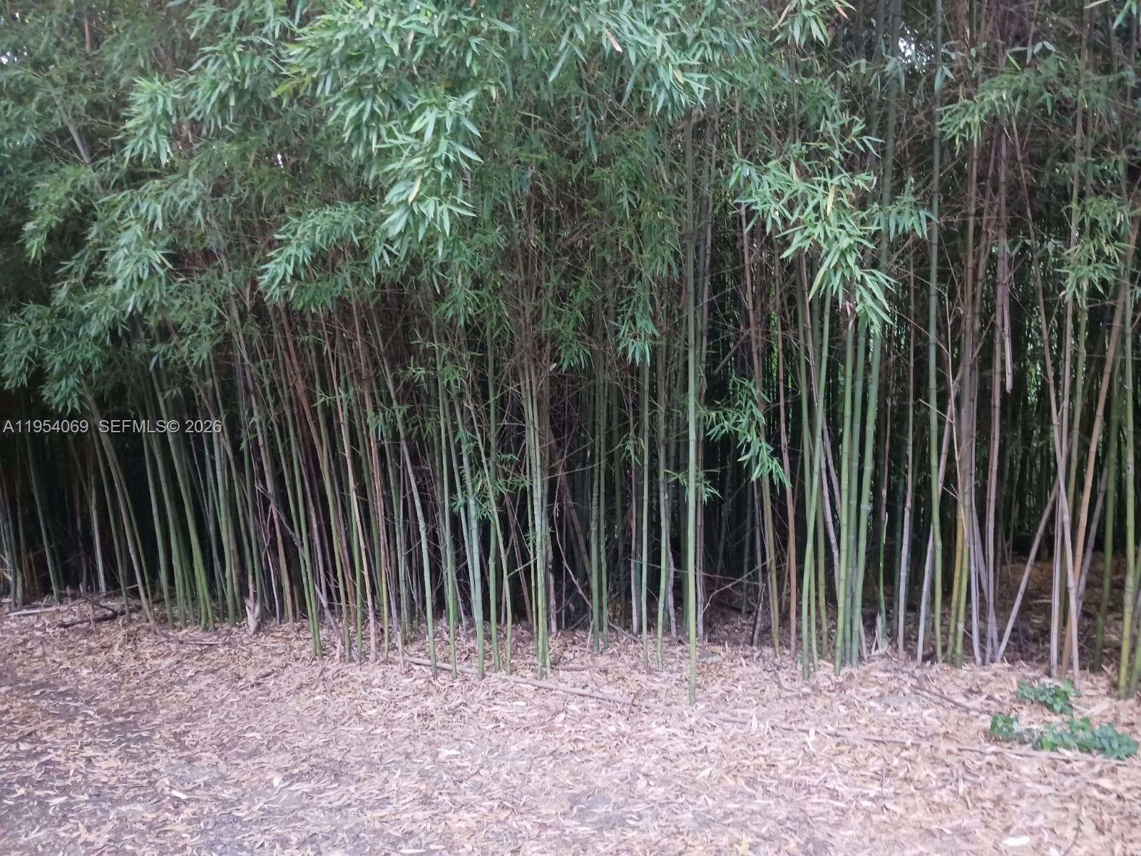 1 Segundo Paredon undefined, undefined 5186 - Photo 17 of 57 a view of wooden fence of a house