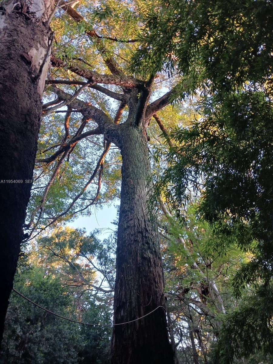 1 Segundo Paredon undefined, undefined 5186 - Photo 18 of 57