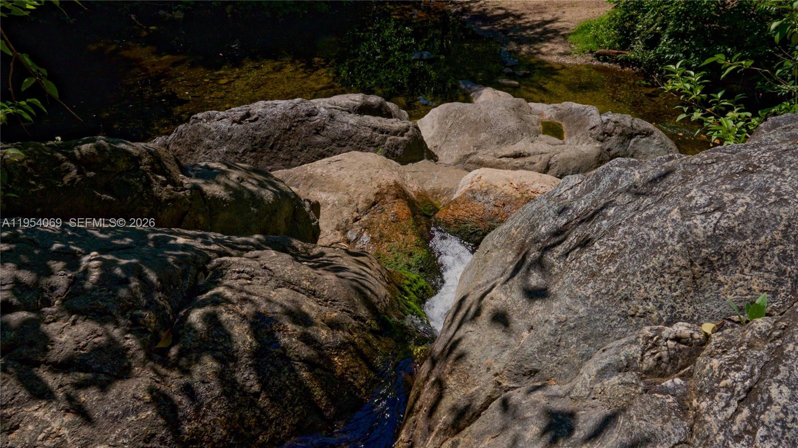 1 Segundo Paredon undefined, undefined 5186 - Photo 19 of 57 a close up of a tree in a yard