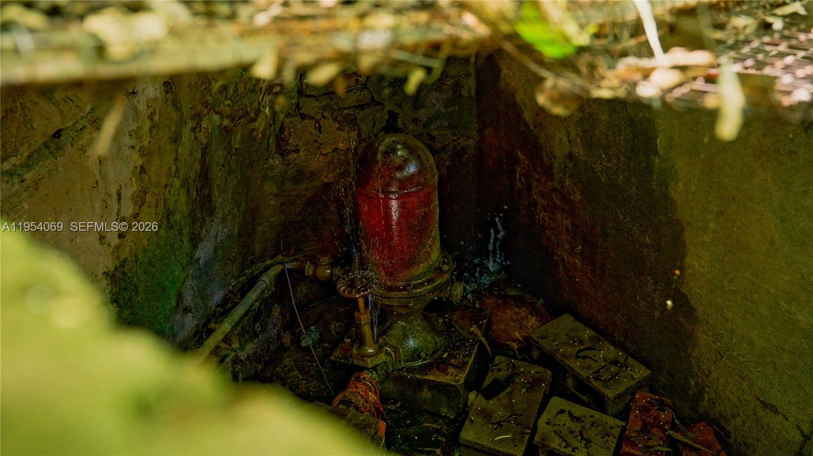 1 Segundo Paredon undefined, undefined 5186 - Photo 20 of 57