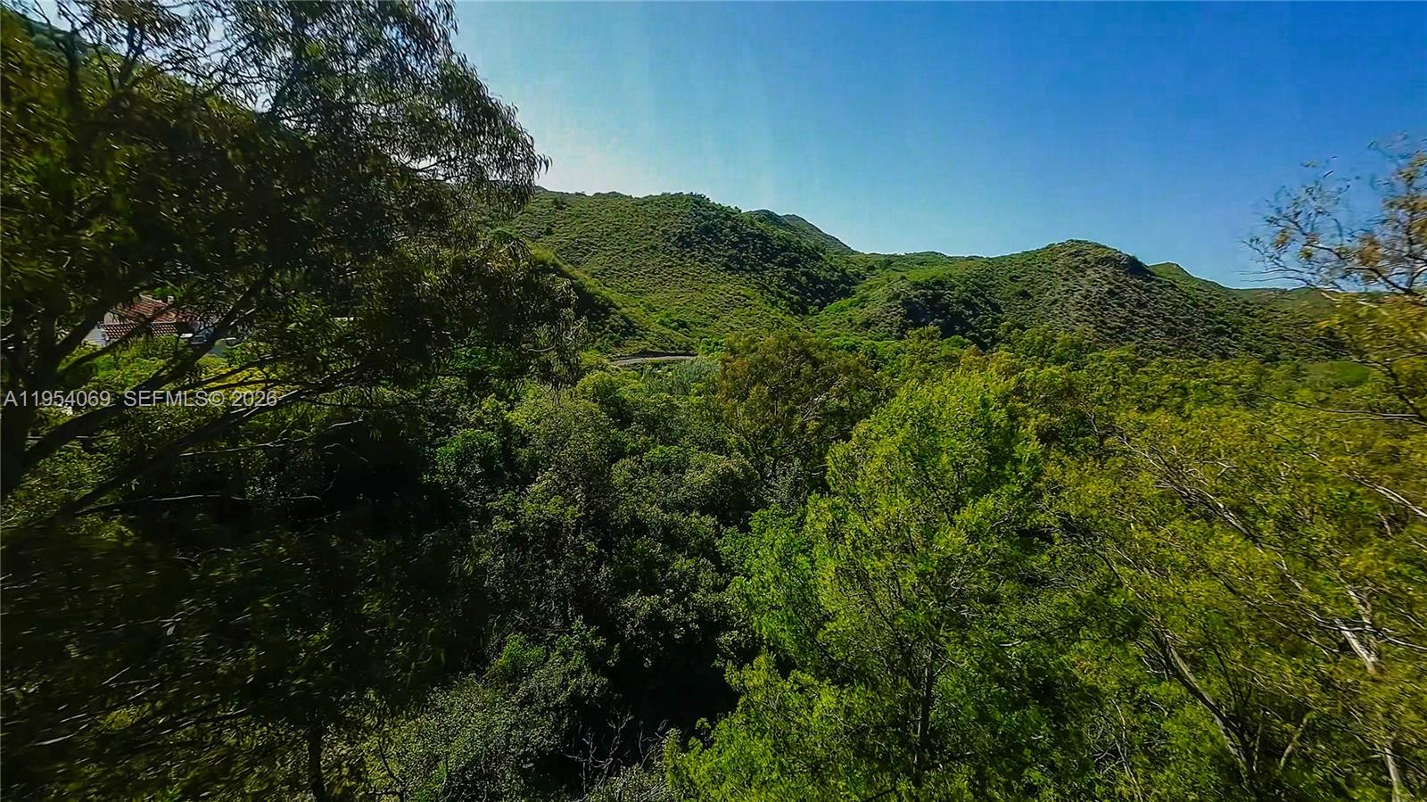 1 Segundo Paredon undefined, undefined 5186 - Photo 24 of 57 a view of a forest with a tree