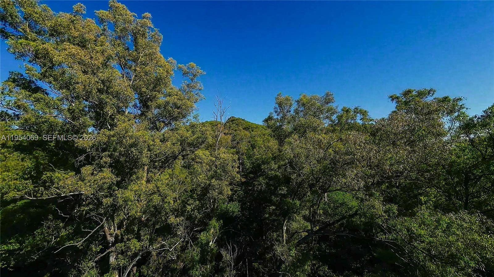 1 Segundo Paredon undefined, undefined 5186 - Photo 27 of 57 a view of a house with a street