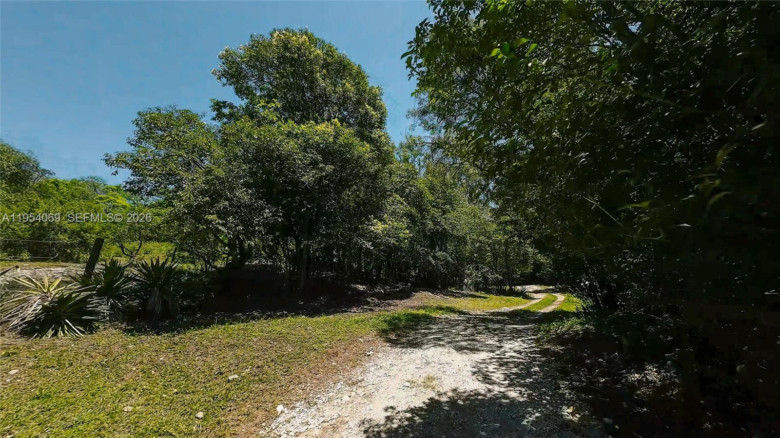 1 Segundo Paredon undefined, undefined 5186 - Photo 28 of 57 a view of a swimming pool and trees