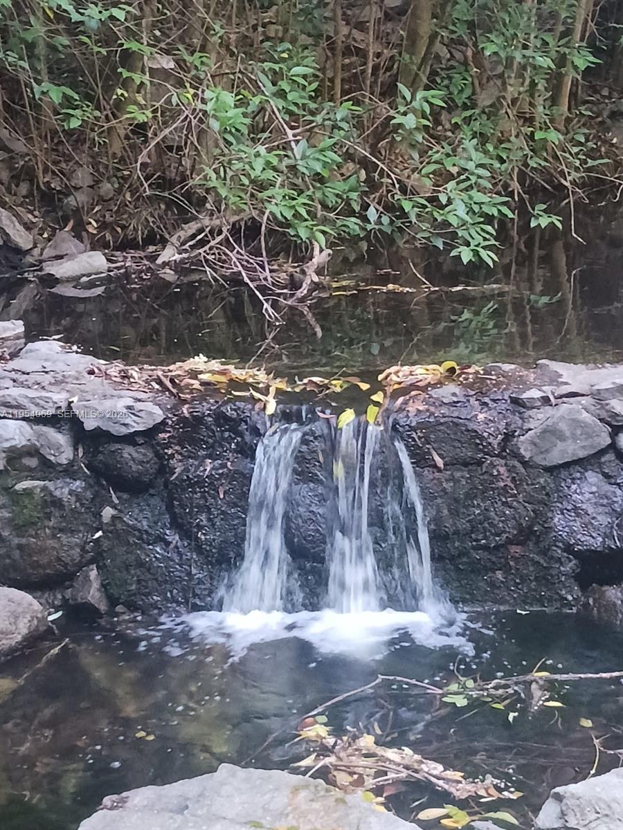 1 Segundo Paredon undefined, undefined 5186 - Photo 30 of 57 a view of a yard with plants