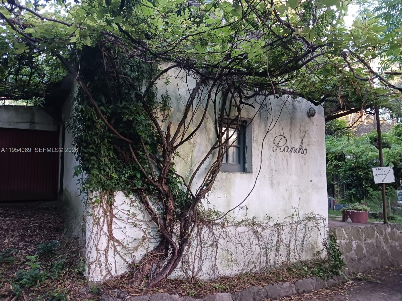 1 Segundo Paredon undefined, undefined 5186 - Photo 33 of 57 a view of a tree with wooden fence